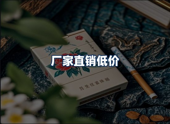 专业团队办公环境